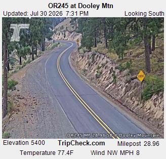 OR245 @ Dooley Mtn S